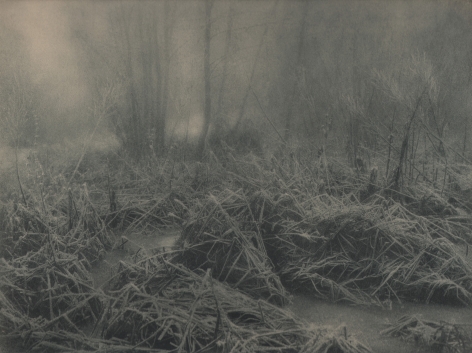 10. Léonard Misonne, Untitled, n.d. Frosted, snowy brush and grass in soft light. Gray/green-toned print.