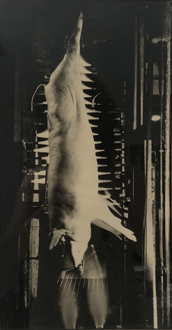 Margaret Bourke-White, Each hog is singed by cleansing jets of flame, 1929. A hog carcass hangs by its rear legs in a dark chamber.