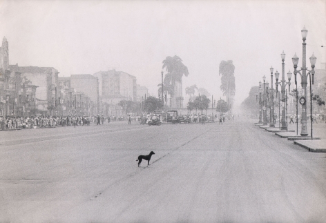 Leonard McCombe, Lonely Dog, Rio de Janeiro, ​1955. Small black dog in the center of an empty street. A large crowd gathers in the distance in the center left of the frame.
