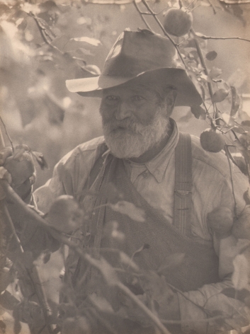 Doris Ulmann, New England (Apple picker), ​1928–1934. Older bearded man in a hat and overalls stands amongst the branches of an apple tree.