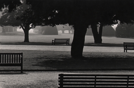 11. Michael O'Cleary, Untitled, c. 1955–1961. Park scene with scattered trees and benches in silhouette.
